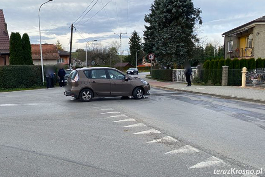 Kolizja we Wróbliku Królewskim