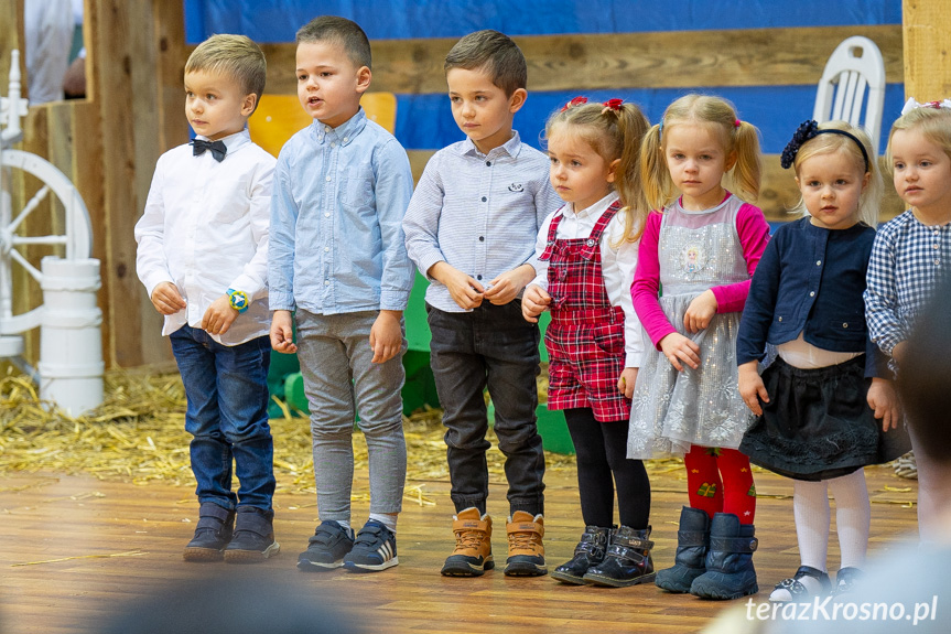 Koncert Bożonarodzeniowy i kiermasz ozdób w Świerzowej Polskiej