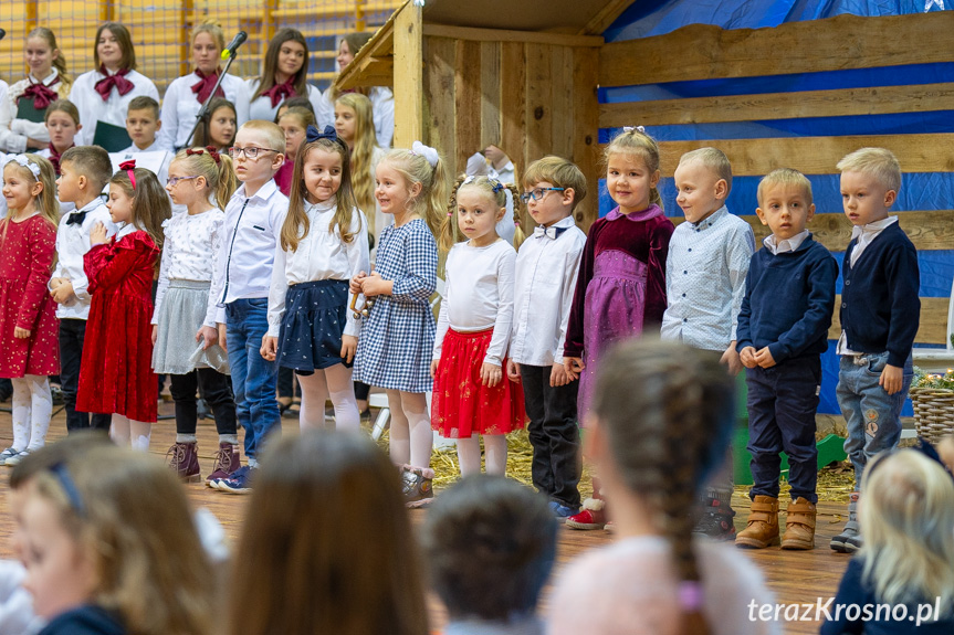 Koncert Bożonarodzeniowy i kiermasz ozdób w Świerzowej Polskiej