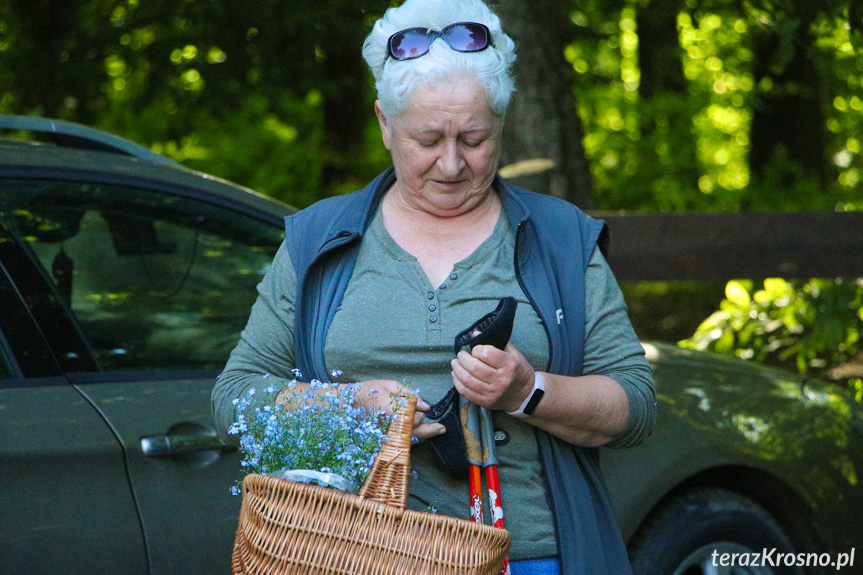 Krościenko Wyżne. Święto Polskiej Niezapominajki