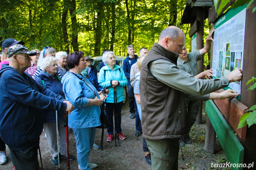 Krościenko Wyżne. Święto Polskiej Niezapominajki