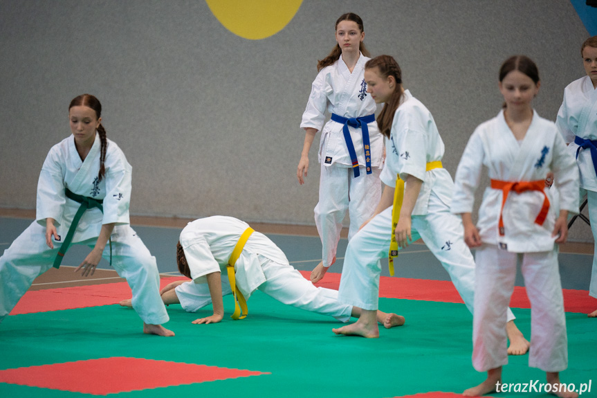 Krośnieńska Gala Sportów Walki