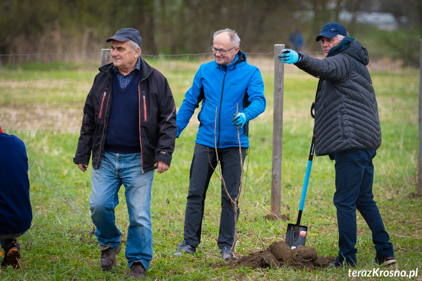 Krosno Wiosną