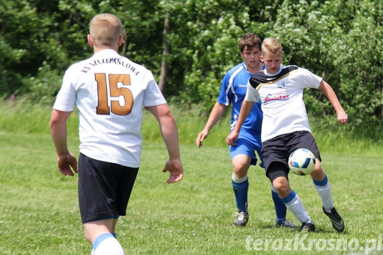 KS Szczepańcowa - LKS Głowienka 0:2