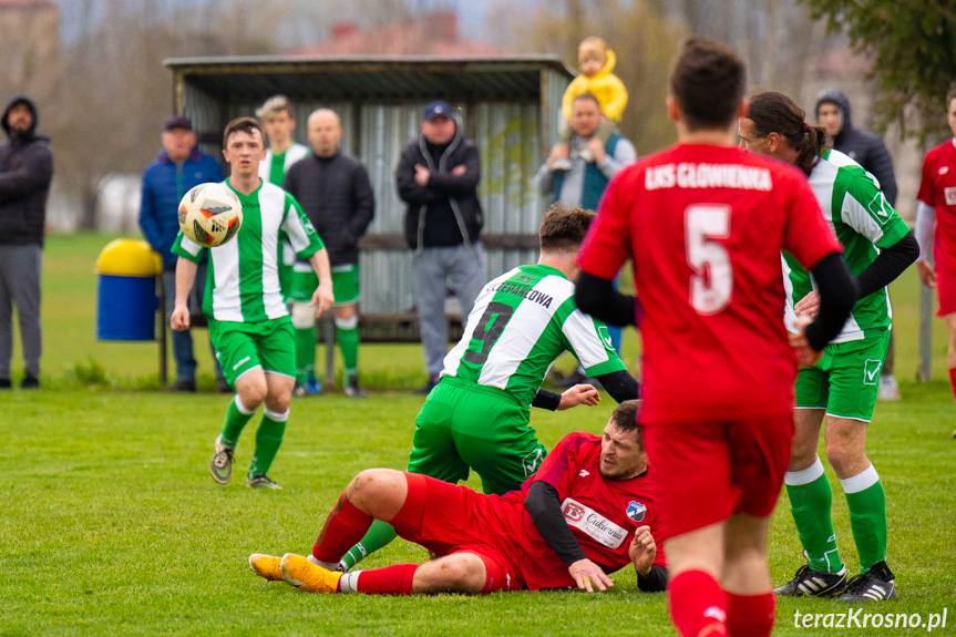 LKS Głowienka - KS Szczepańcowa 5:0