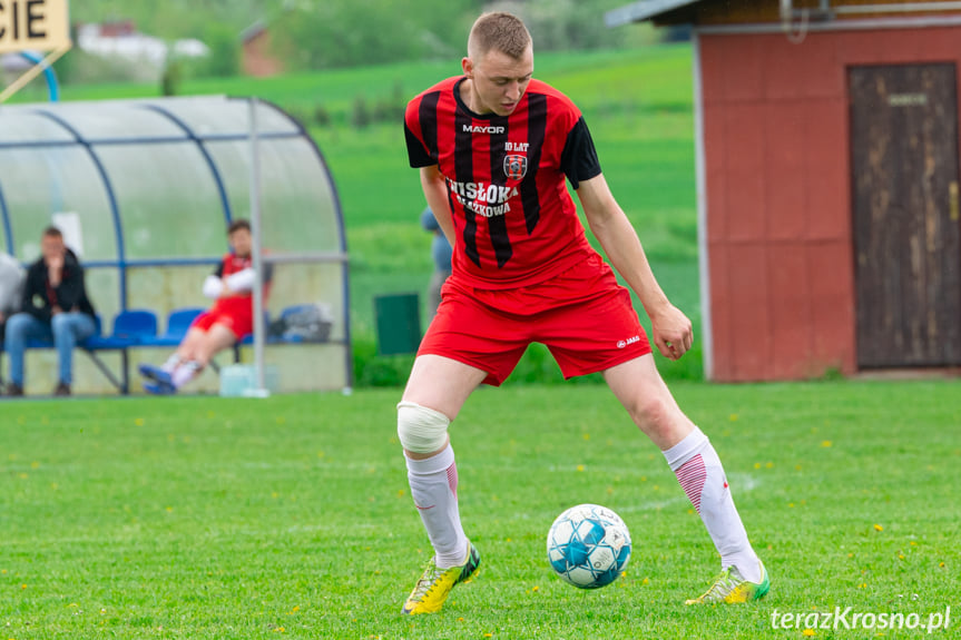 LKS Łęki Strzyżowskie - Wisłoka Błażkowa 2:2