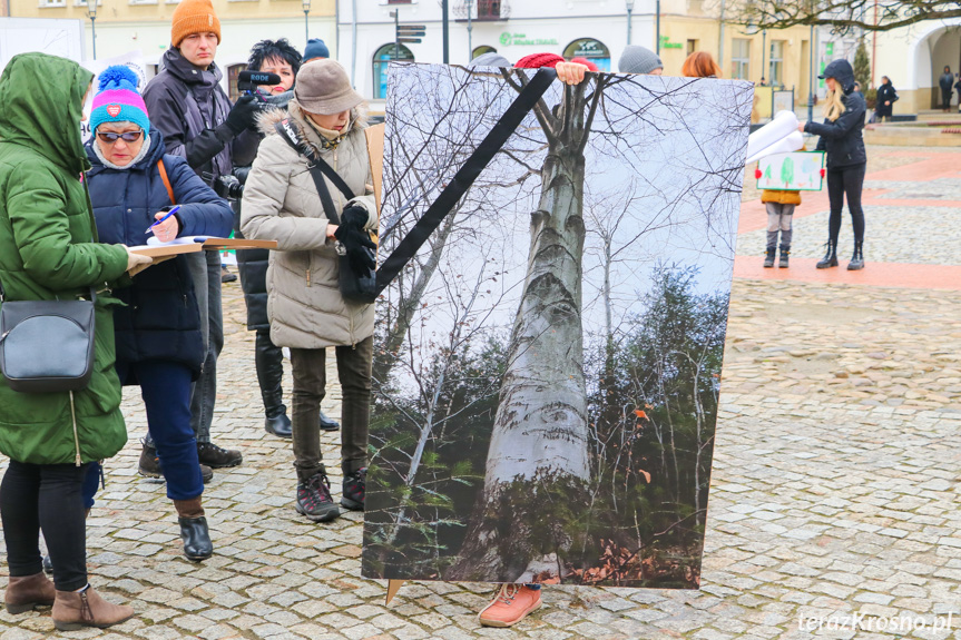 Marsz żałoby dla drzew w Krośnie