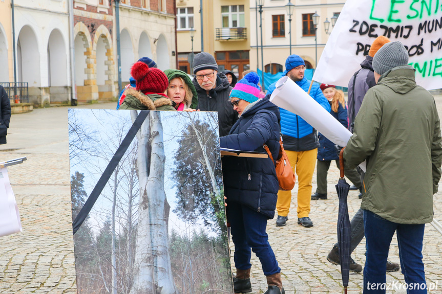 Marsz żałoby dla drzew w Krośnie