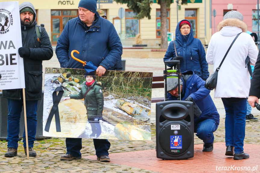 Marsz żałoby dla drzew w Krośnie