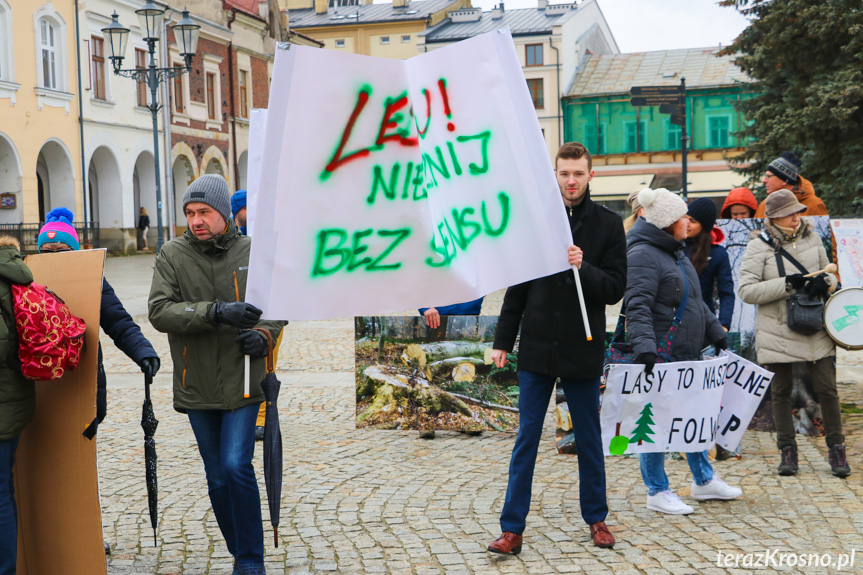 Marsz żałoby dla drzew w Krośnie