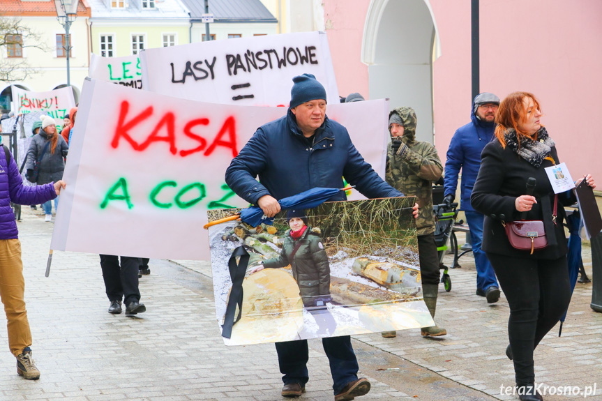 Marsz żałoby dla drzew w Krośnie