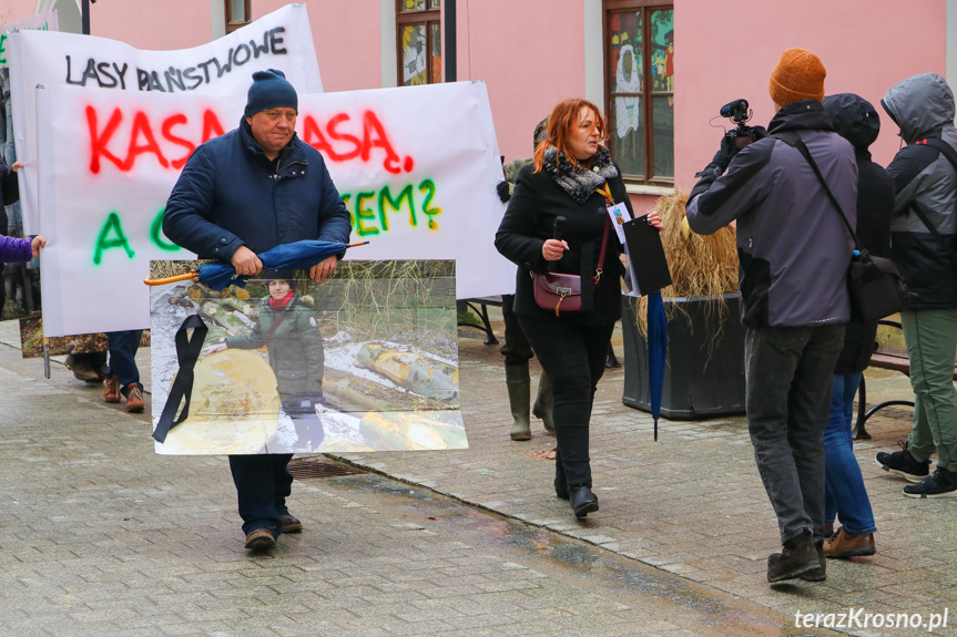 Marsz żałoby dla drzew w Krośnie