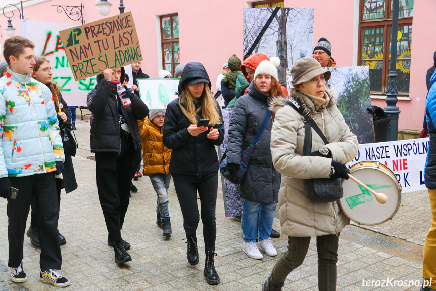 Marsz żałoby dla drzew w Krośnie