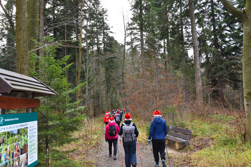 Mikołajkowy Rajd Nordic Walking w Lubatowej