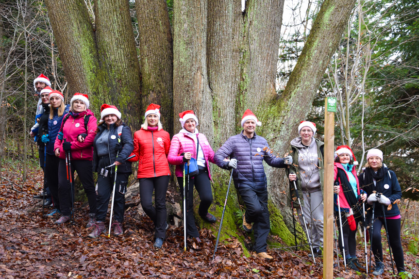 Mikołajkowy Rajd Nordic Walking w Lubatowej