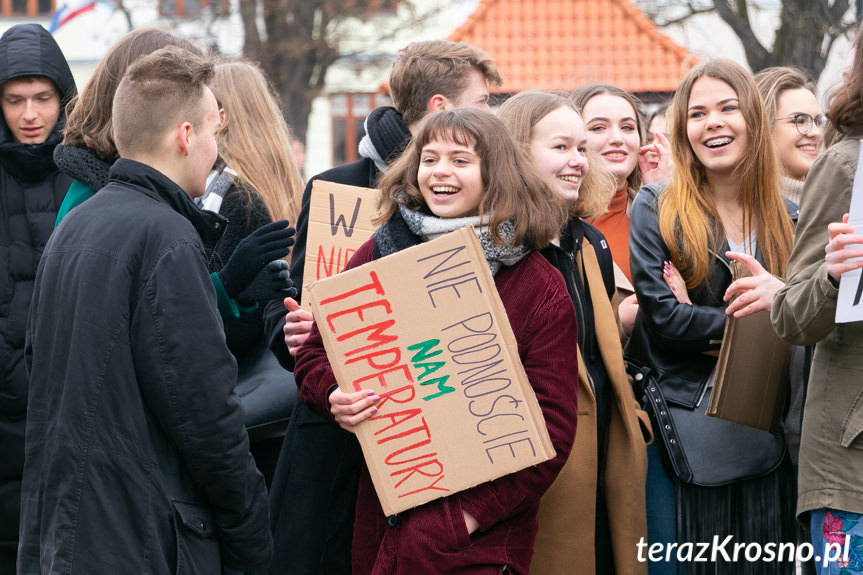 Młodzieżowy Strajk Klimatyczny w Krośnie