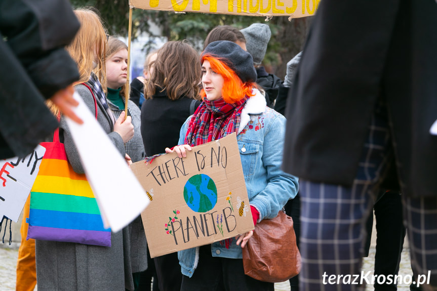 Młodzieżowy Strajk Klimatyczny w Krośnie