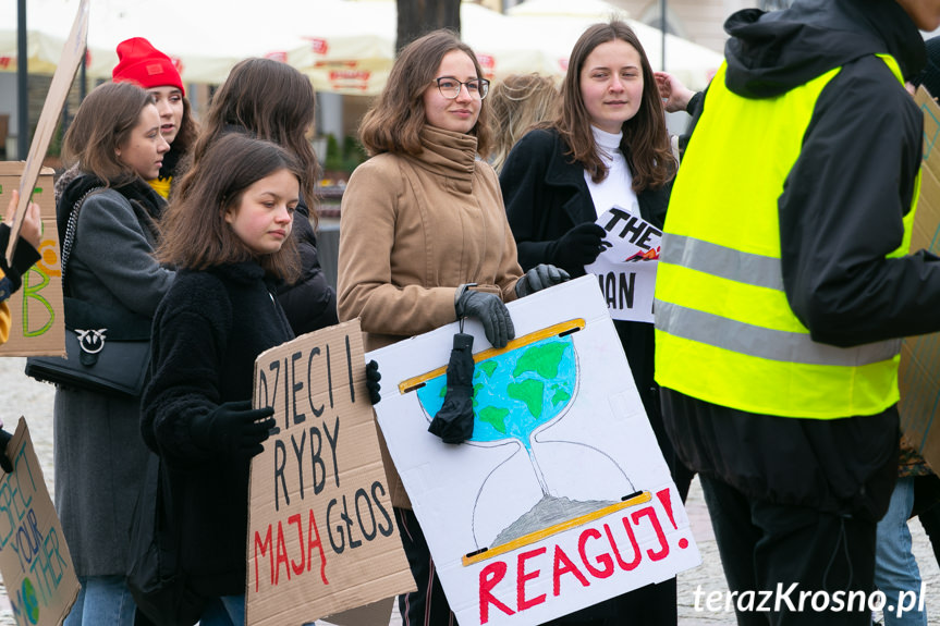 Młodzieżowy Strajk Klimatyczny w Krośnie