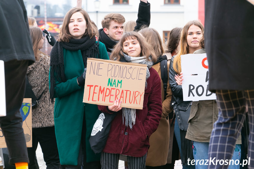 Młodzieżowy Strajk Klimatyczny w Krośnie