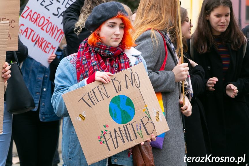 Młodzieżowy Strajk Klimatyczny w Krośnie