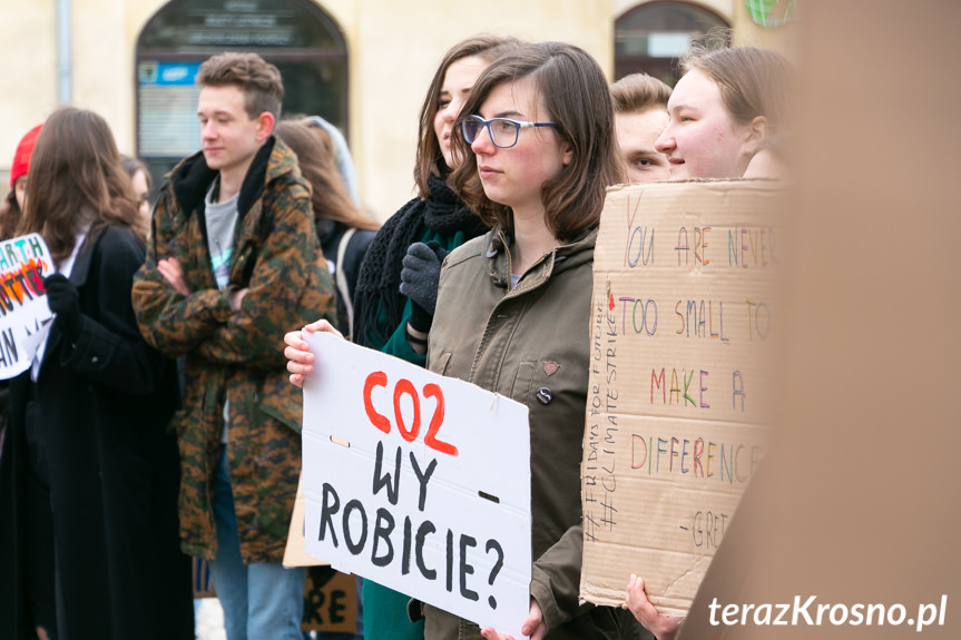 Młodzieżowy Strajk Klimatyczny w Krośnie