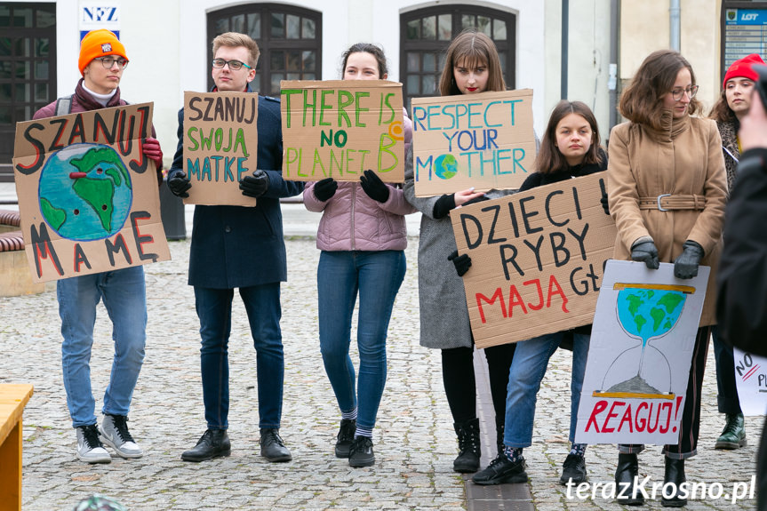 Młodzieżowy Strajk Klimatyczny w Krośnie