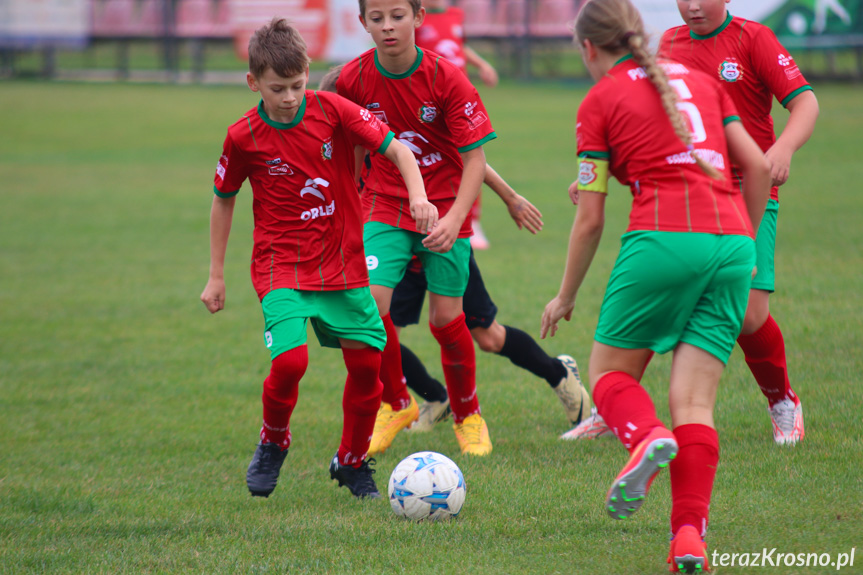 Mlodziki. Partyzant MAL-BUD 1 Targowiska - Start Rymanów 0:8