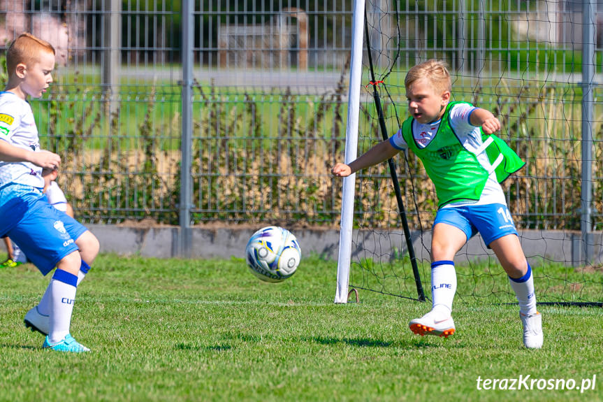 Orlen BSS Liga - Turniej w Rogach