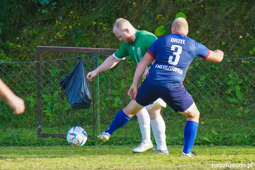 Orzeł Faliszówka - Liwocz Brzyska 3:3