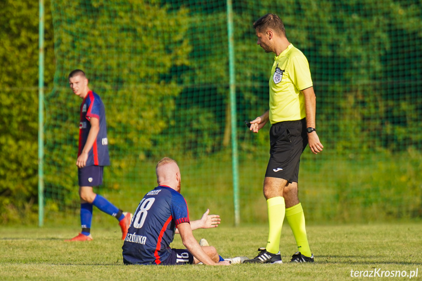 Orzeł Faliszówka - Liwocz Brzyska 3:3