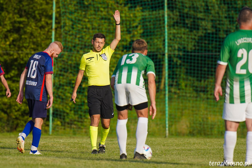 Orzeł Faliszówka - Liwocz Brzyska 3:3