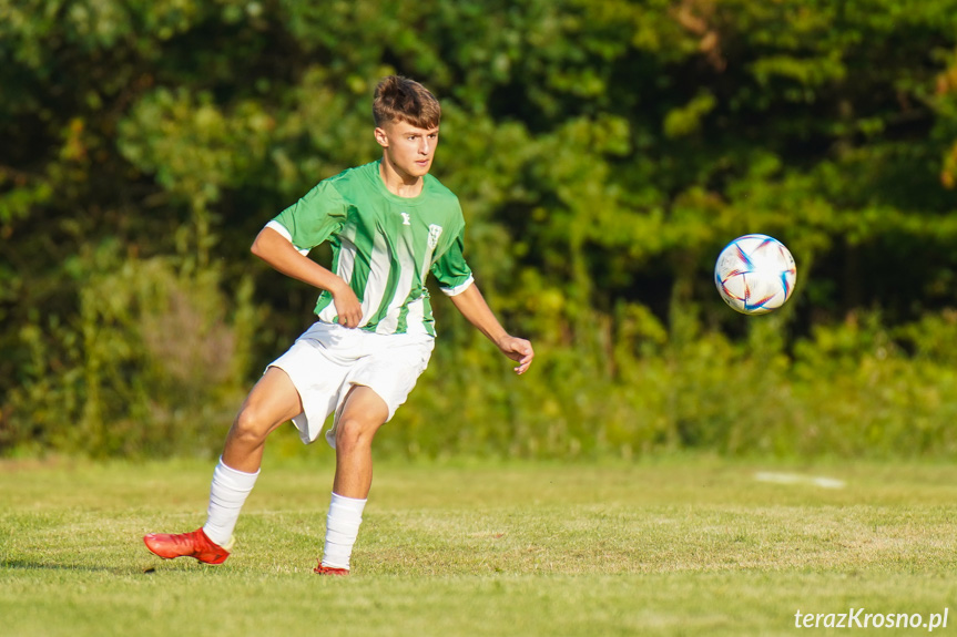 Orzeł Faliszówka - Liwocz Brzyska 3:3