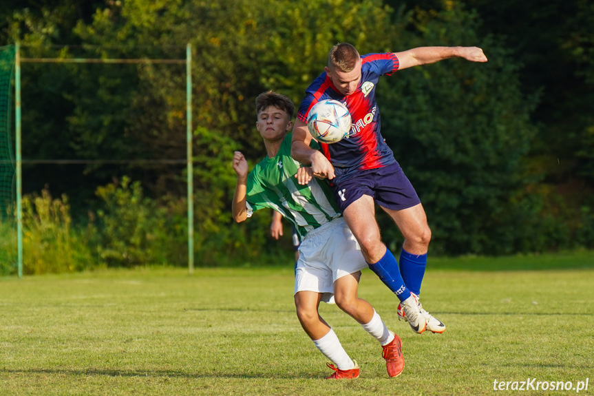 Orzeł Faliszówka - Liwocz Brzyska 3:3