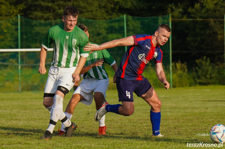 Orzeł Faliszówka - Liwocz Brzyska 3:3