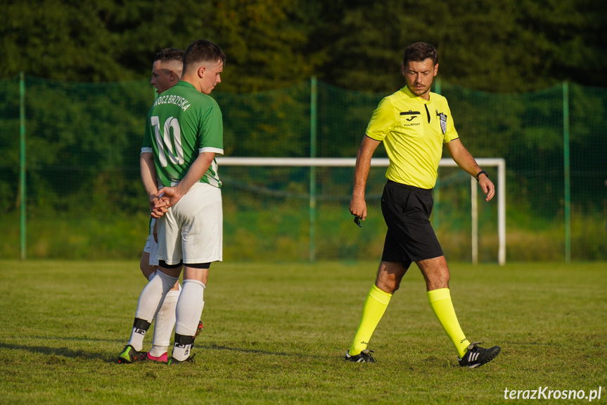 Orzeł Faliszówka - Liwocz Brzyska 3:3