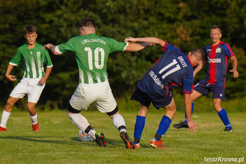 Orzeł Faliszówka - Liwocz Brzyska 3:3