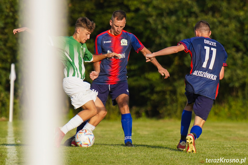 Orzeł Faliszówka - Liwocz Brzyska 3:3