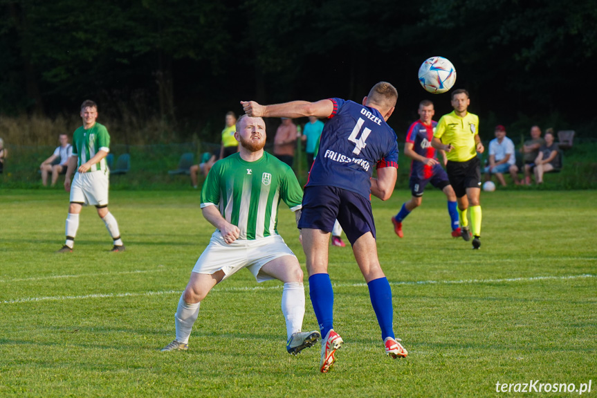 Orzeł Faliszówka - Liwocz Brzyska 3:3