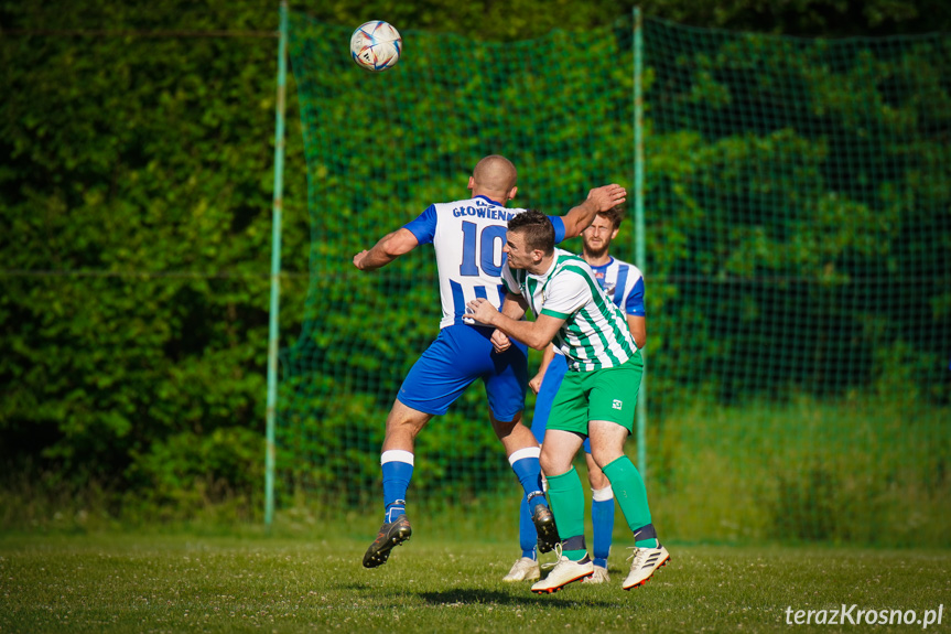 Orzeł Faliszówka - LKS Głowienka 0:1