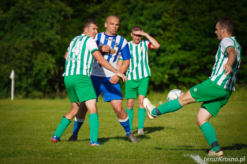 Orzeł Faliszówka - LKS Głowienka 0:1