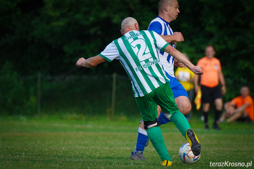 Orzeł Faliszówka - LKS Głowienka 0:1