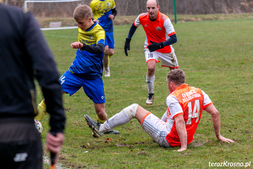 Orzeł Faliszówka - Rędzinianka Wojaszówka 2:0