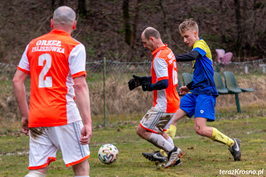 Orzeł Faliszówka - Rędzinianka Wojaszówka 2:0