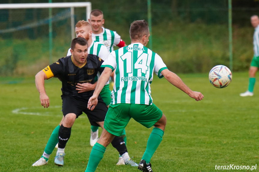 Orzeł Faliszówka - Sparta Osobnica 1:3