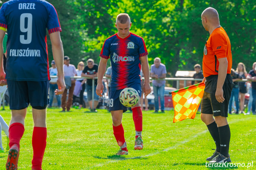 Orzeł Faliszówka - Wisłok Sieniawa 3:2