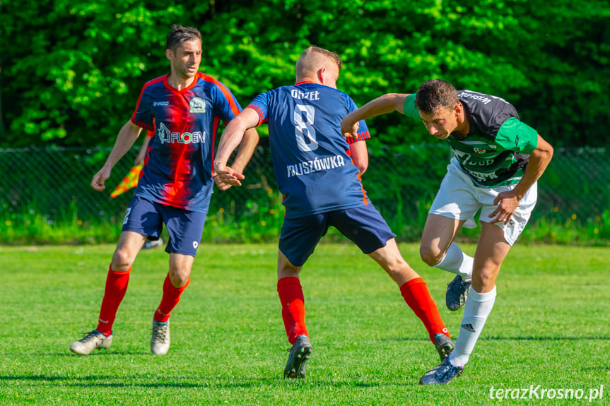 Orzeł Faliszówka - Wisłok Sieniawa 3:2