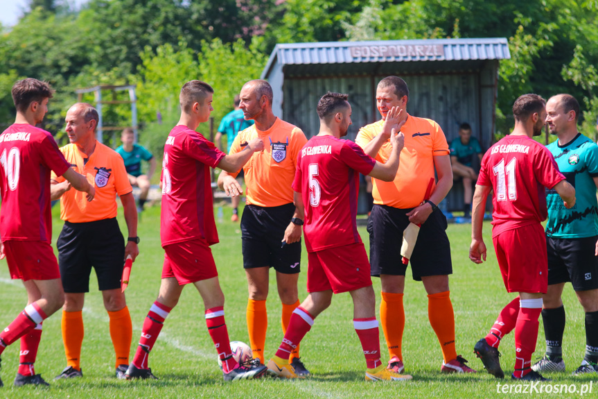 Orzeł Milcza - LKS Głowienka 2:4