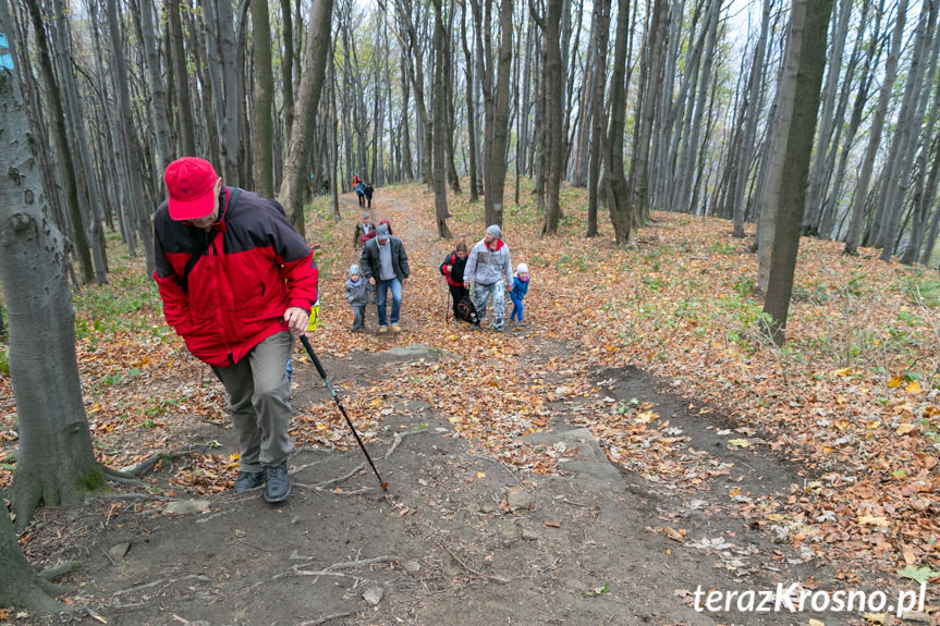 Otwarcie wieży widokowej na Górze Cergowa