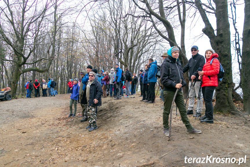 Otwarcie wieży widokowej na Górze Cergowa