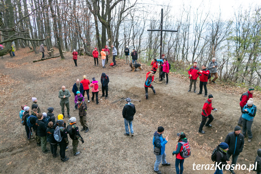 Otwarcie wieży widokowej na Górze Cergowa